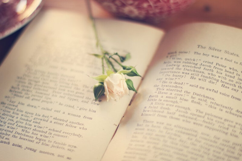 Open Book with Rose — White