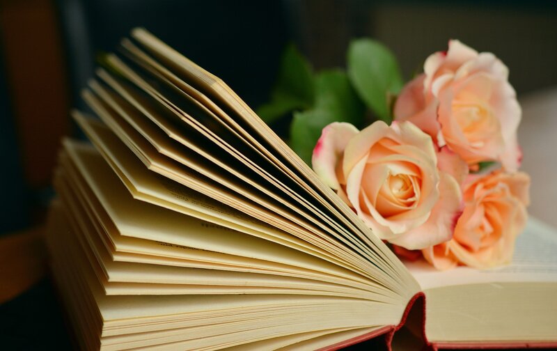 Open Book with Roses — Pink, Serene, Photograph, Pages