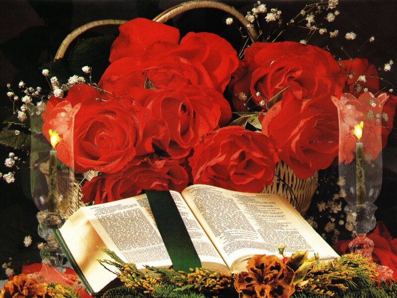 Open Book with Roses — Red