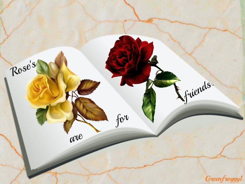 Open Book with Roses — White, Calm