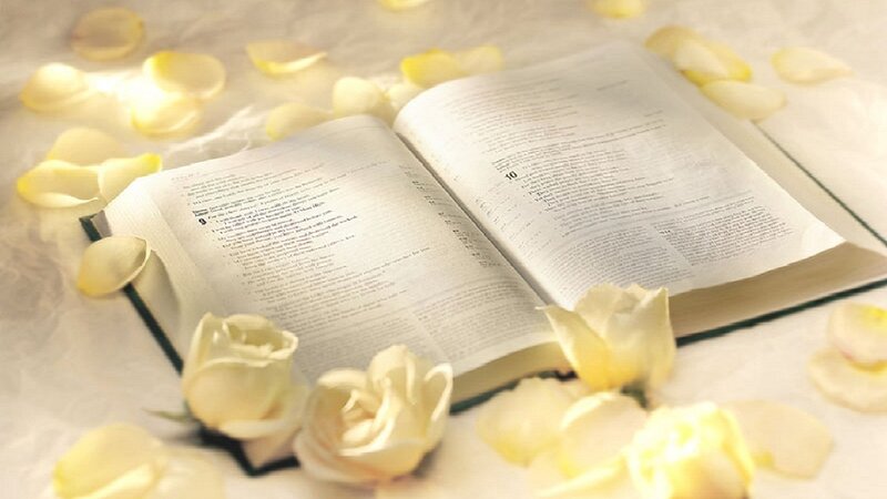 Open Book with Roses — White, Serene, Photograph