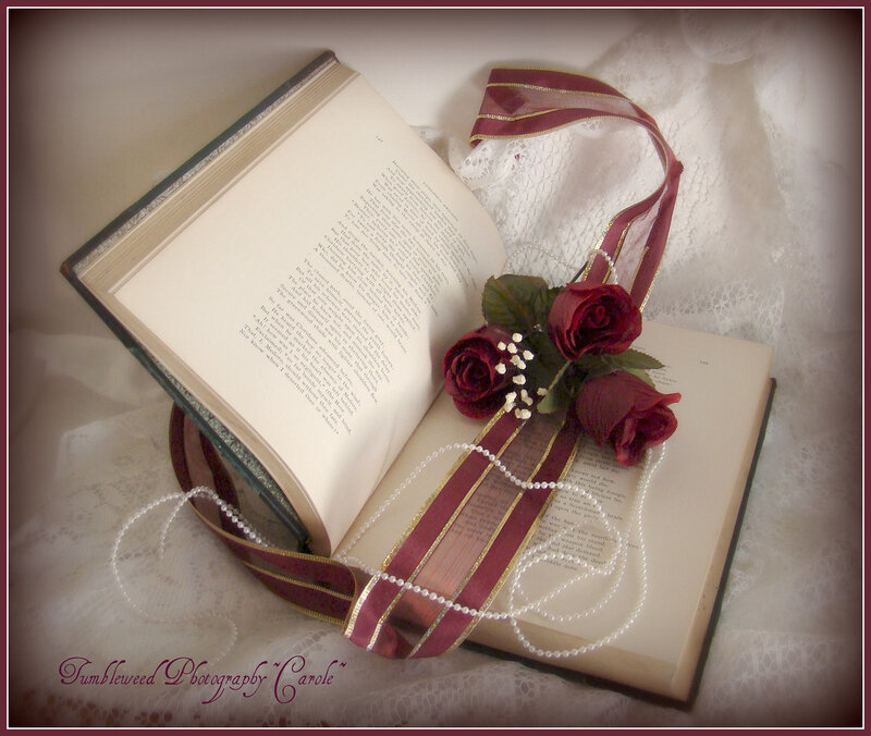 Open Book with Roses — White