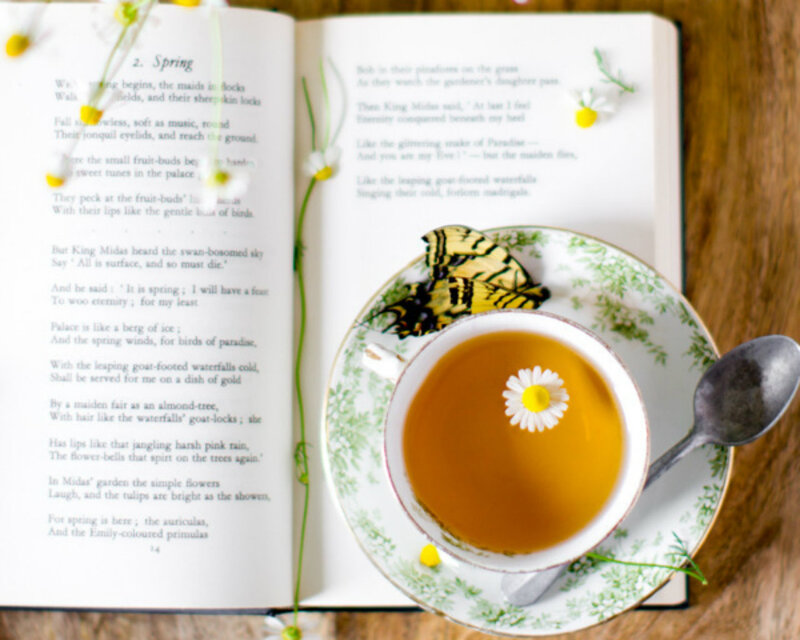 Open Book with Tea Cup — White