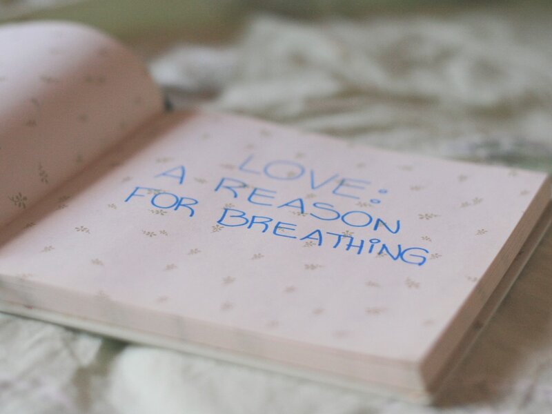 Open Book with Text — Pink
