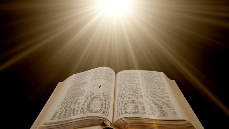 Open Book with Text — White