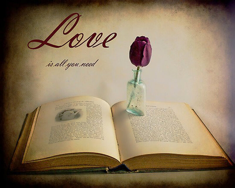 Open Book with Tulip