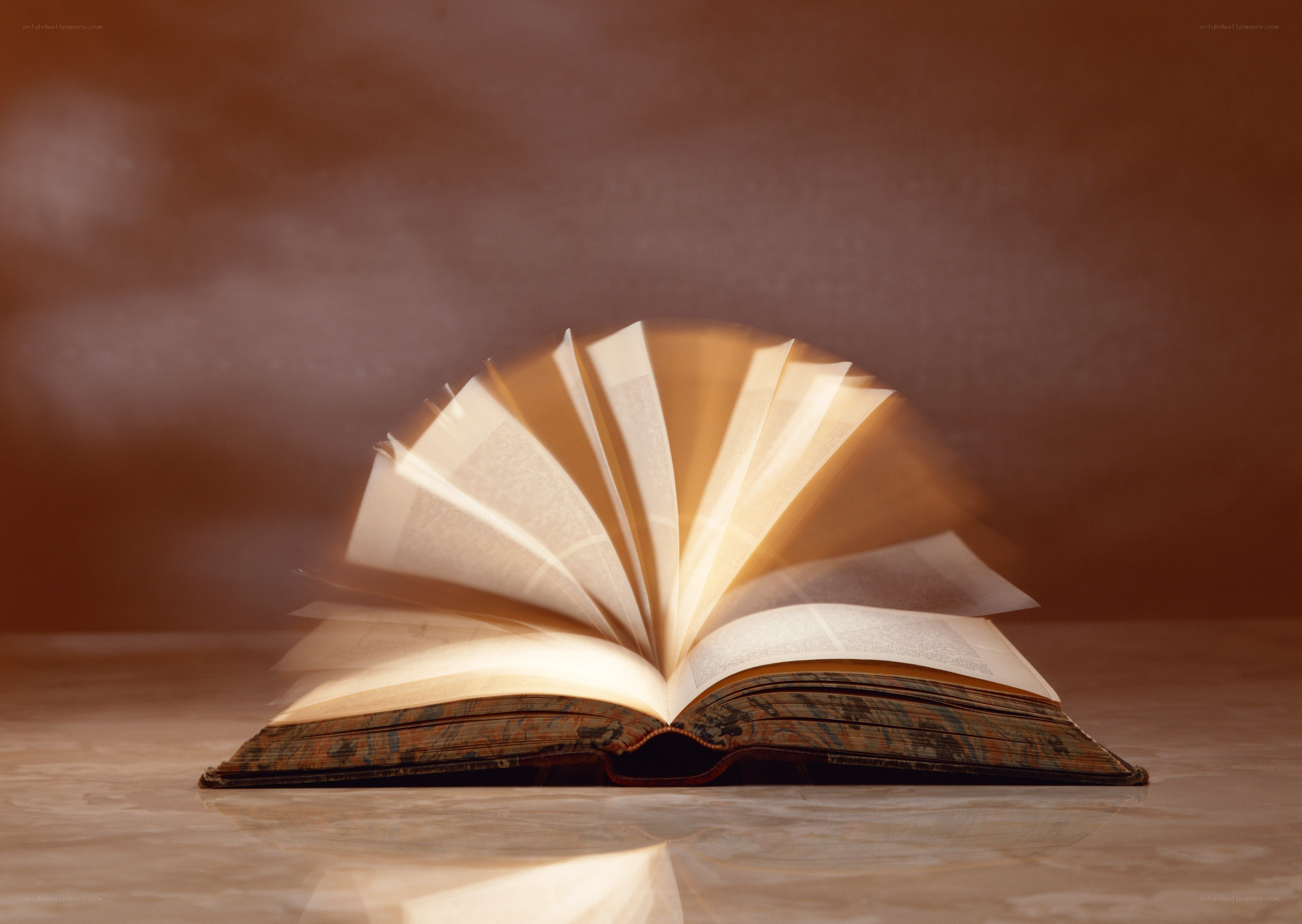 open book with turning pages