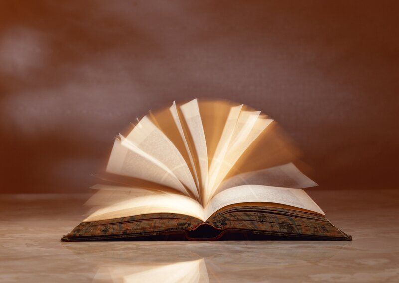 Open Book with Turning Pages — Brown, Dramatic