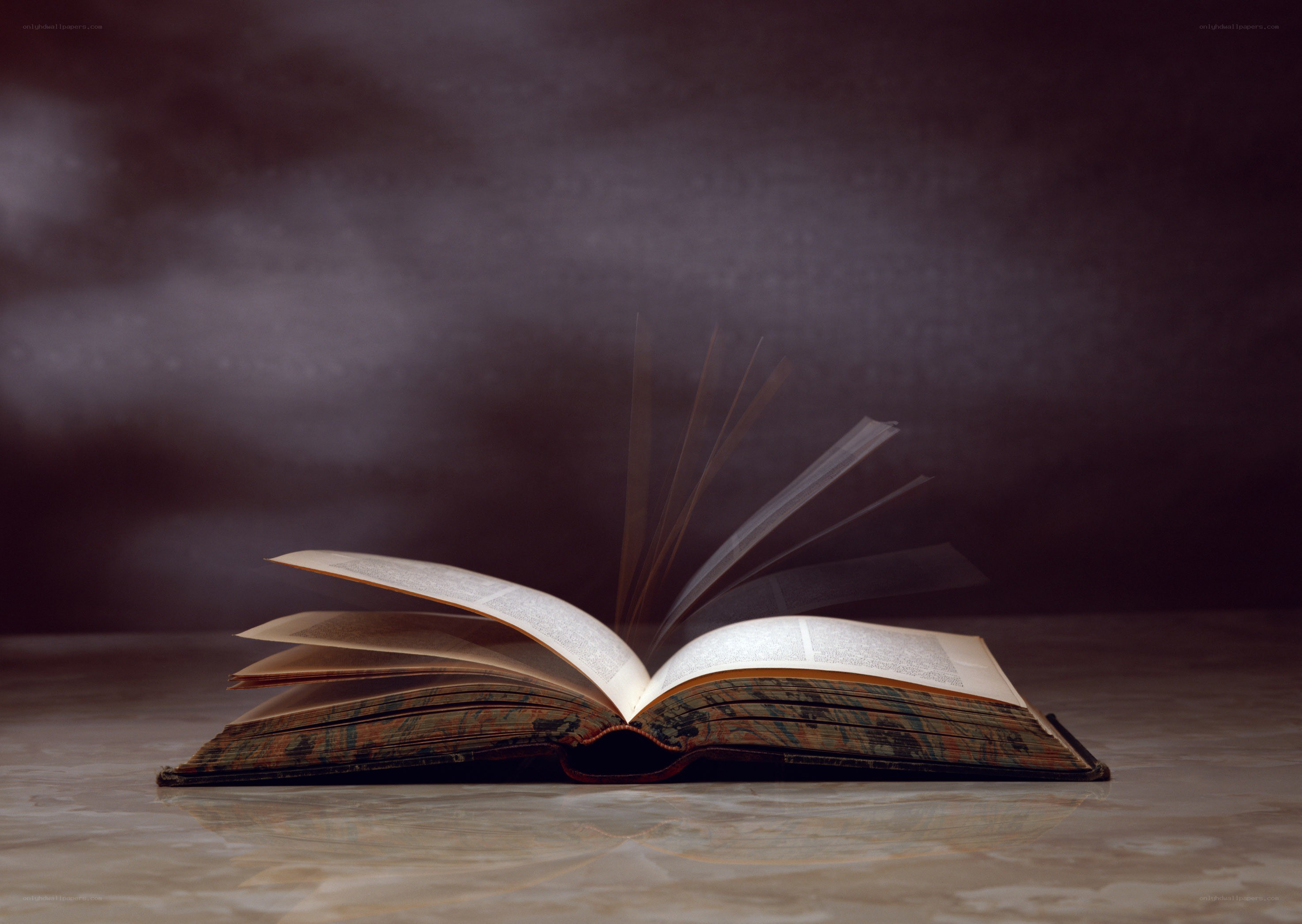 open book with turning pages