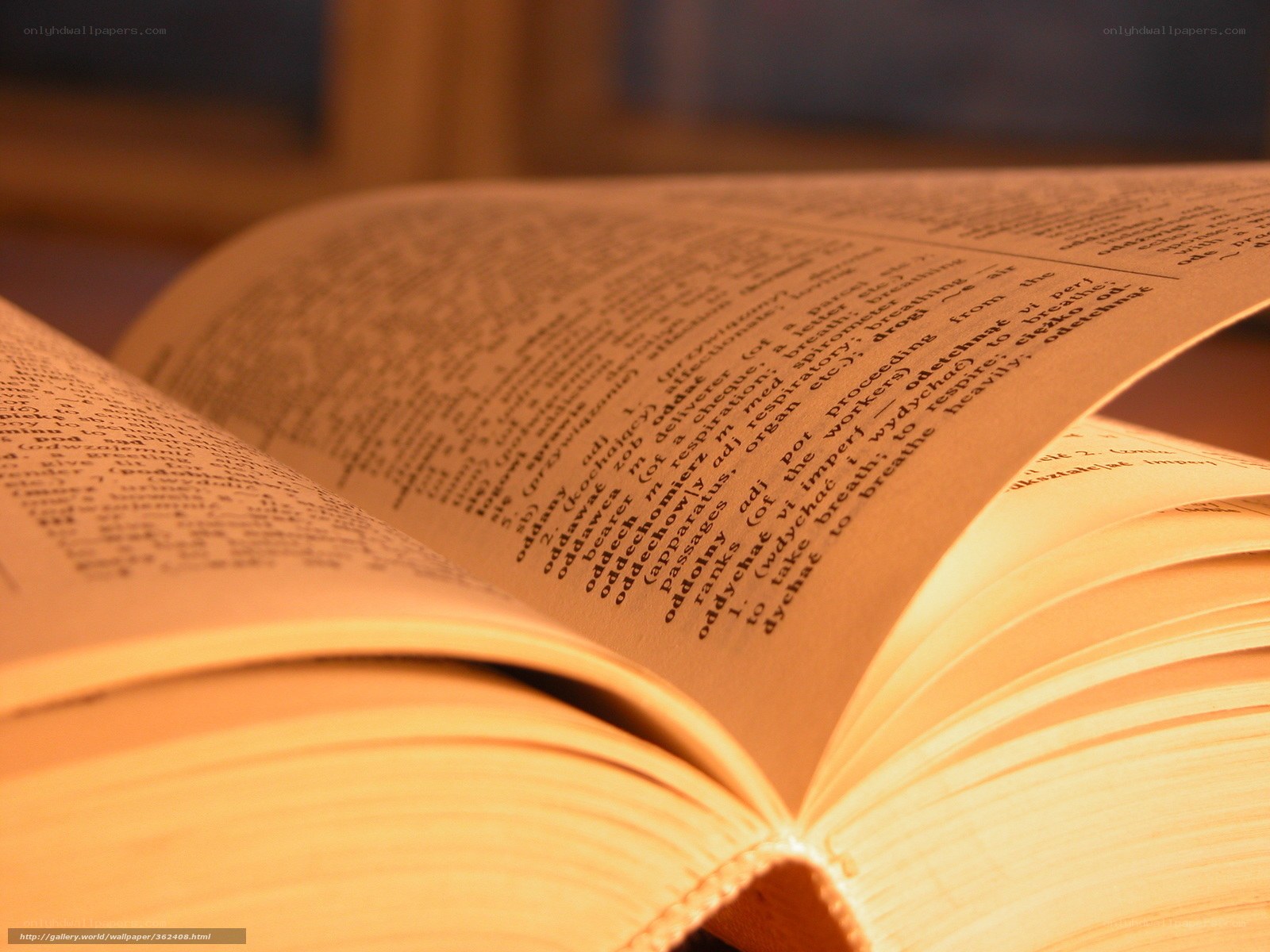 open book with warm light
