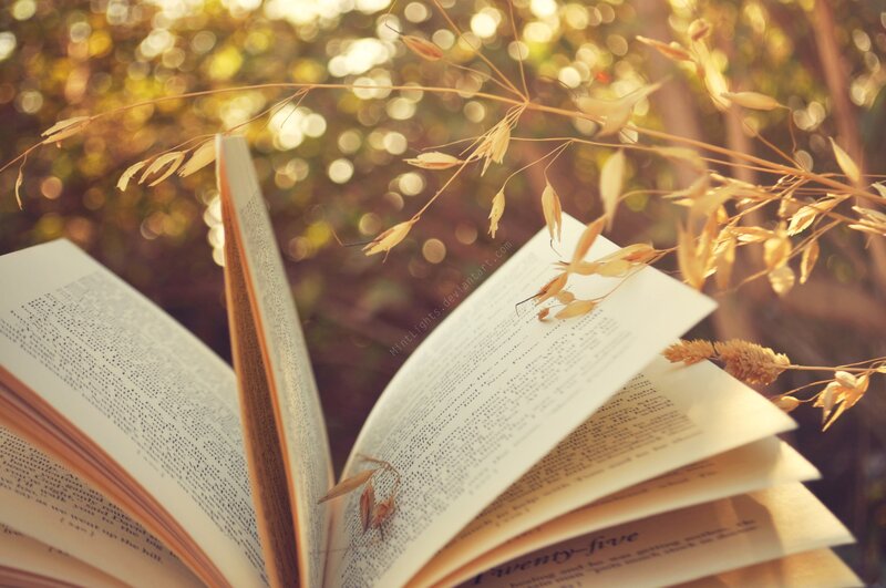 Open Book with Wheat