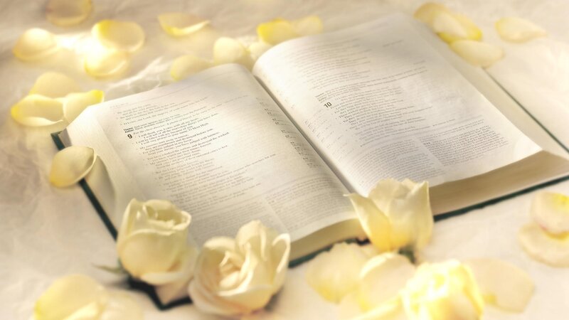 open book with white roses