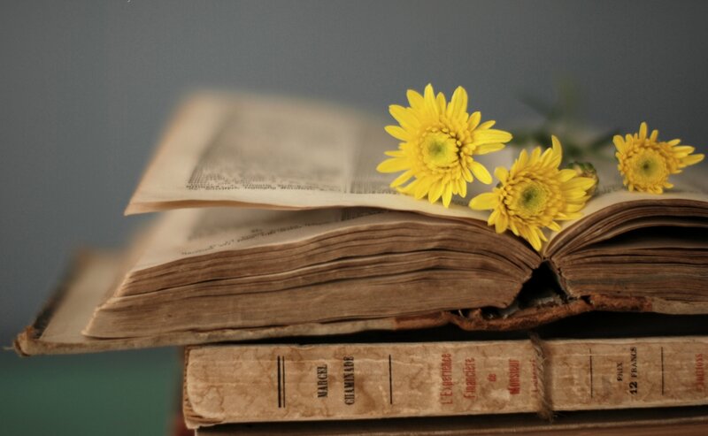 Open Book with Yellow Flowers