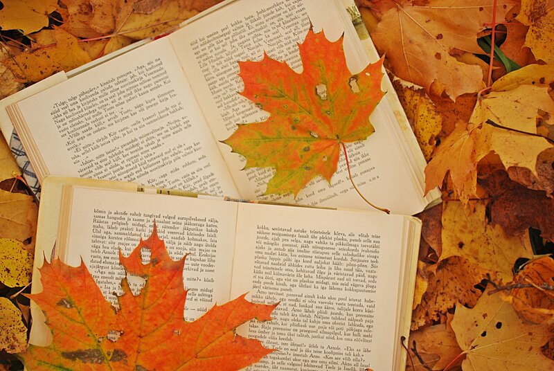 Open Books with Autumn Leaves