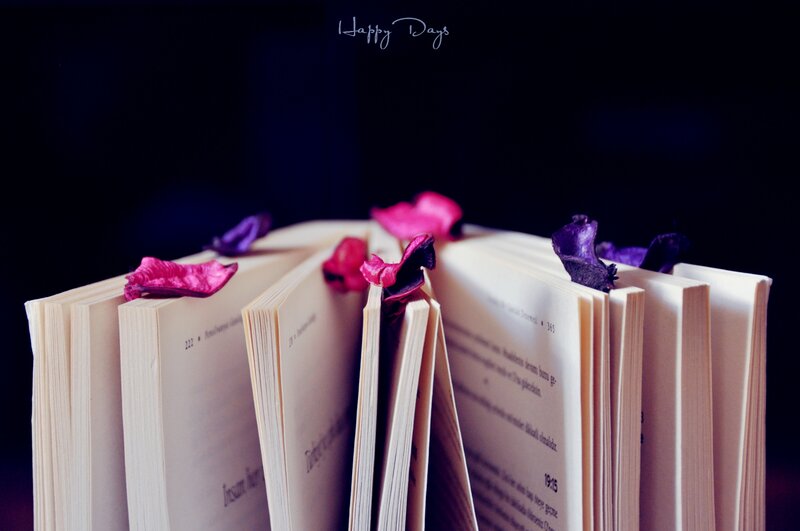 Open Books with Flower Petals