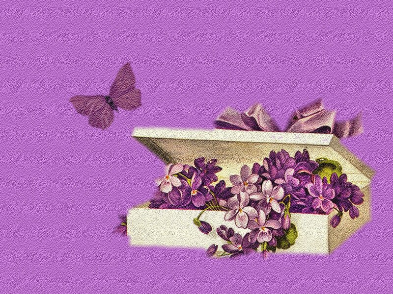 Open Box with Violets