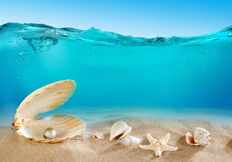 Open Clam with Pearl — Blue