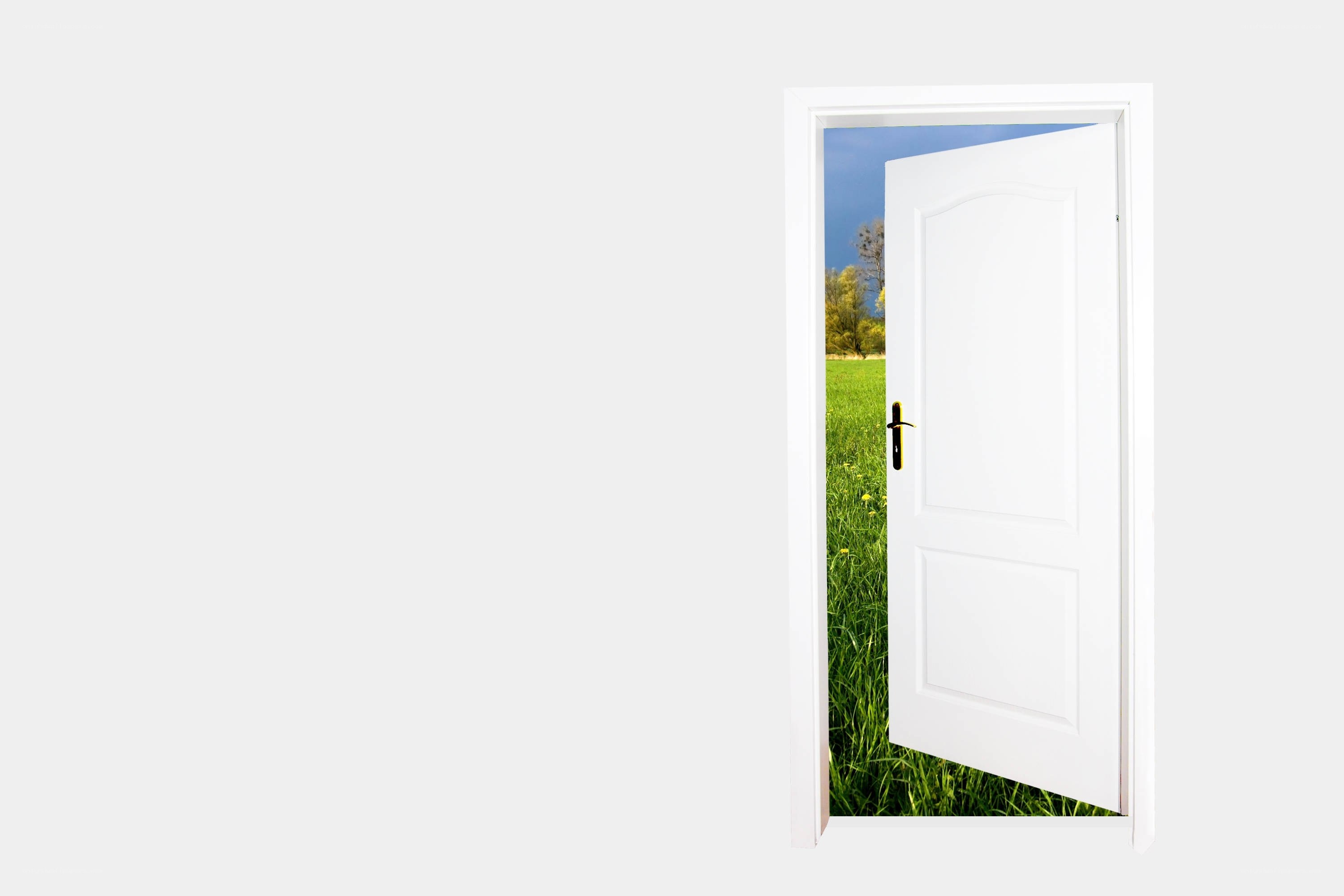 open door to green field