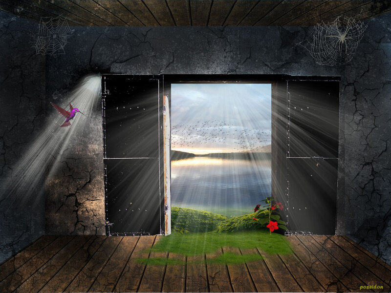 Open Door to Landscape — Green