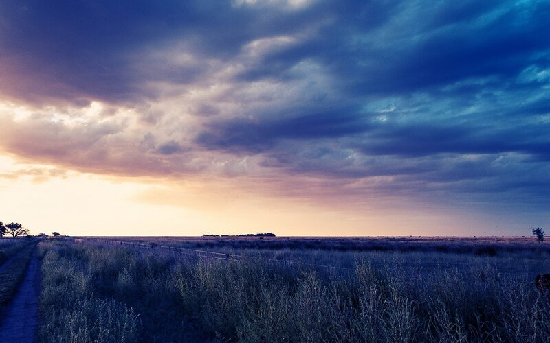 Open Field at Sunset — Blue, Dramatic