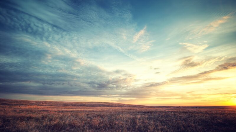 Open Field at Sunset — Blue, Serene