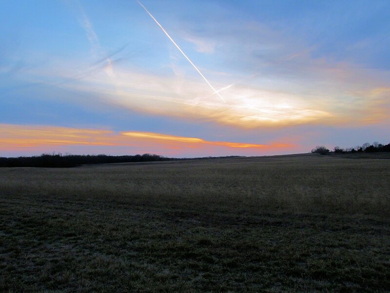 Open Field at Sunset — Blue