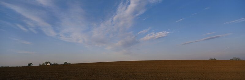 Open field under blue sky