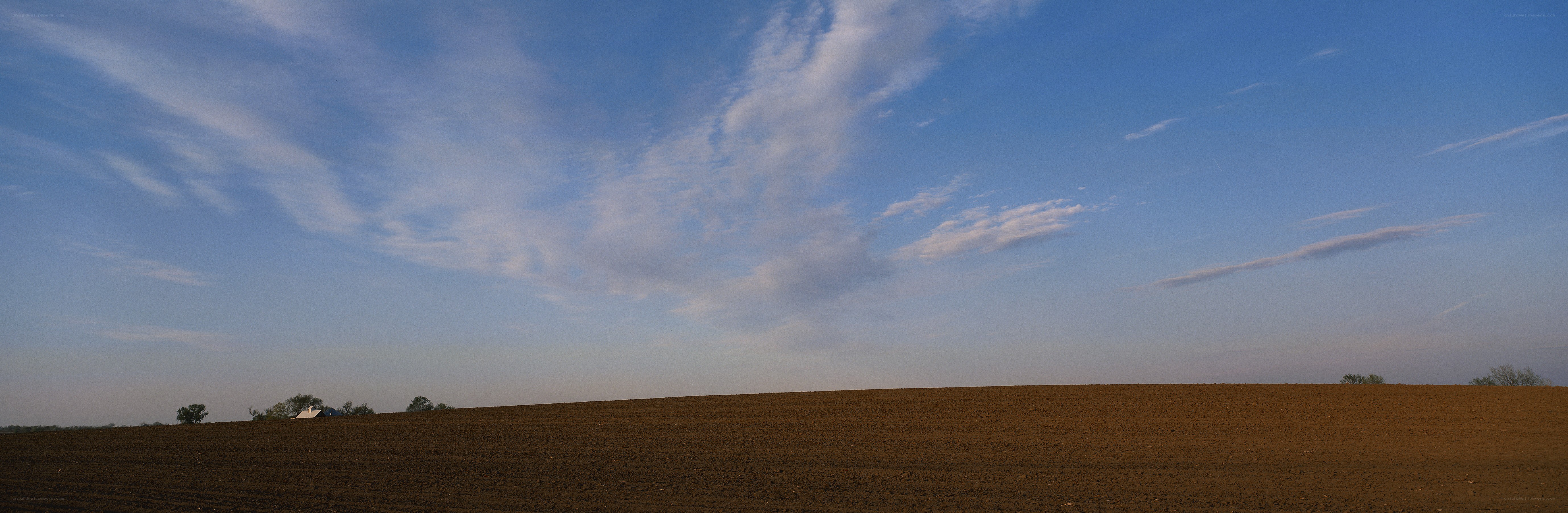 Open field under blue sky