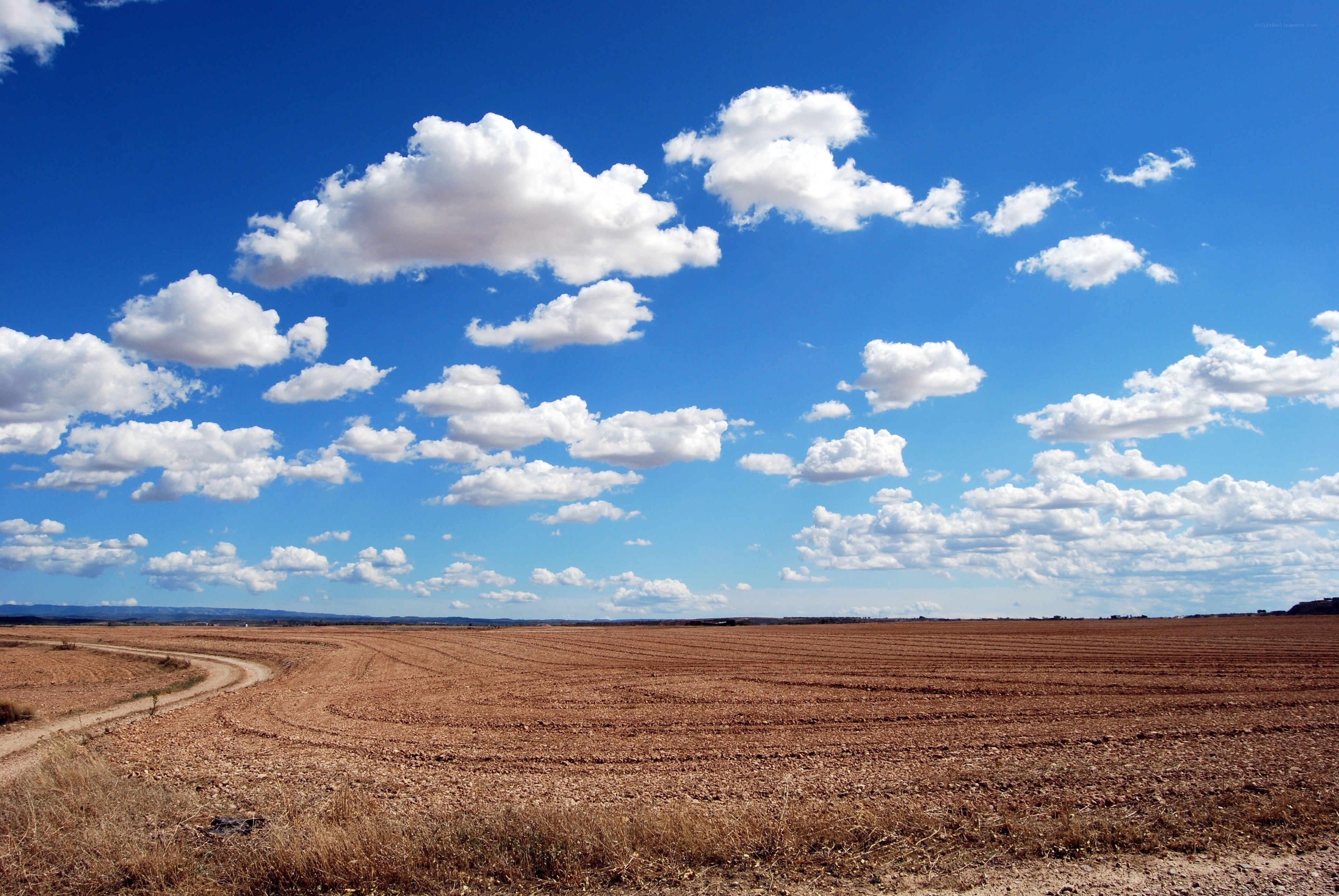 Open field under blue sky