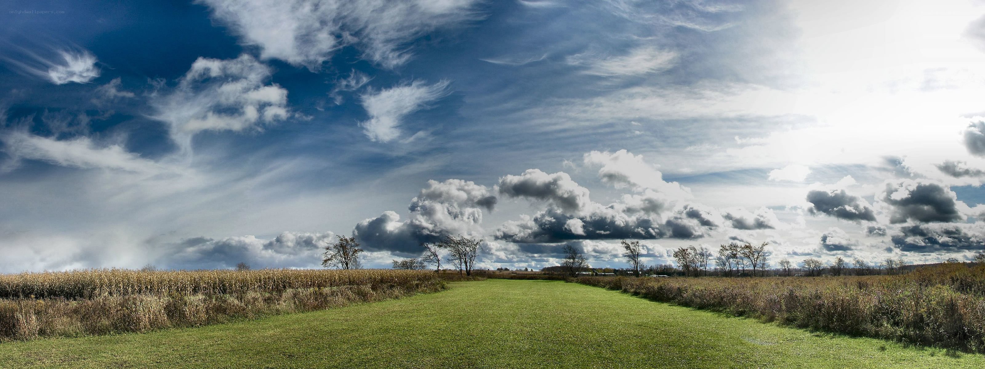 Open field under cloudy sky
