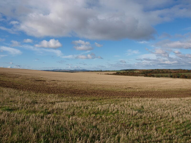Open field under cloudy sky