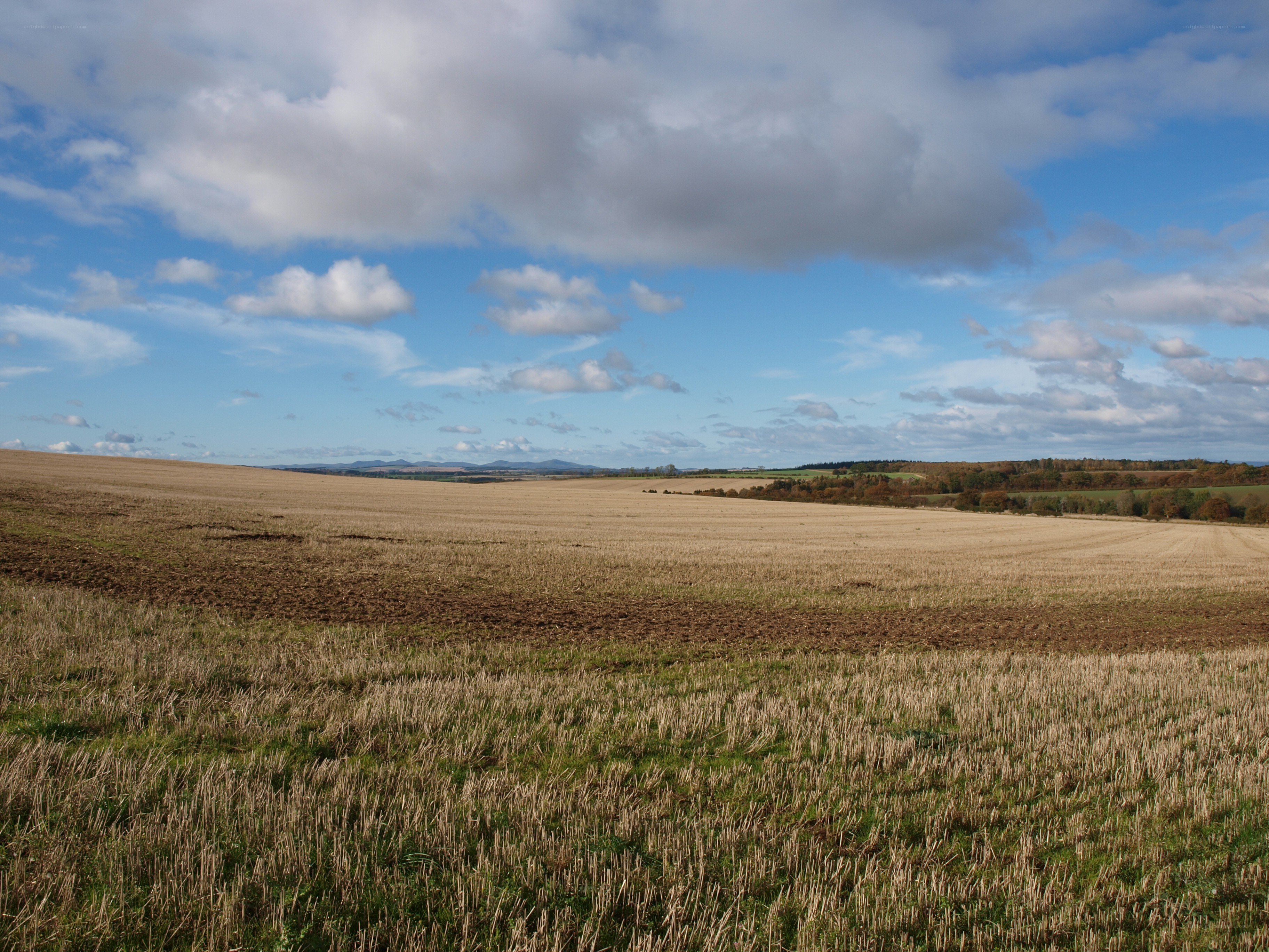 Open field under cloudy sky