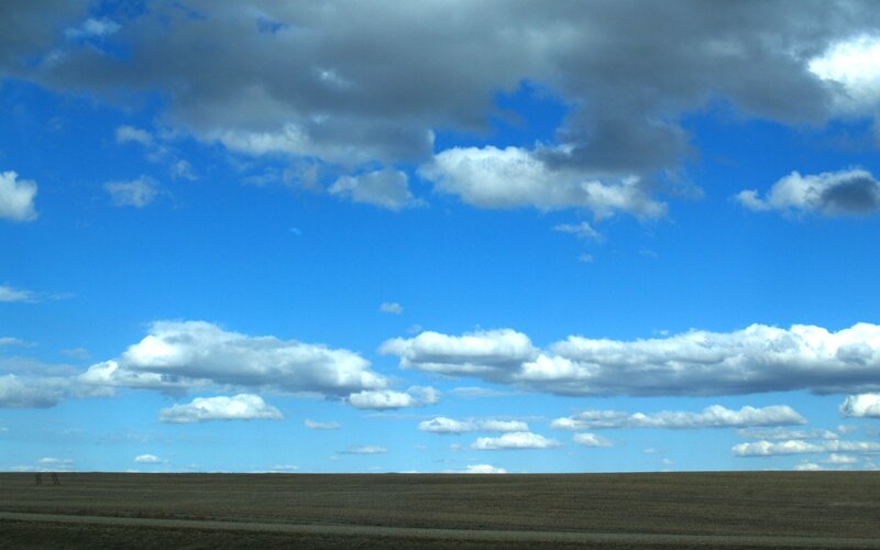 Open field under cloudy sky