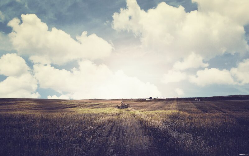 Open Field under Cloudy Sky — Blue