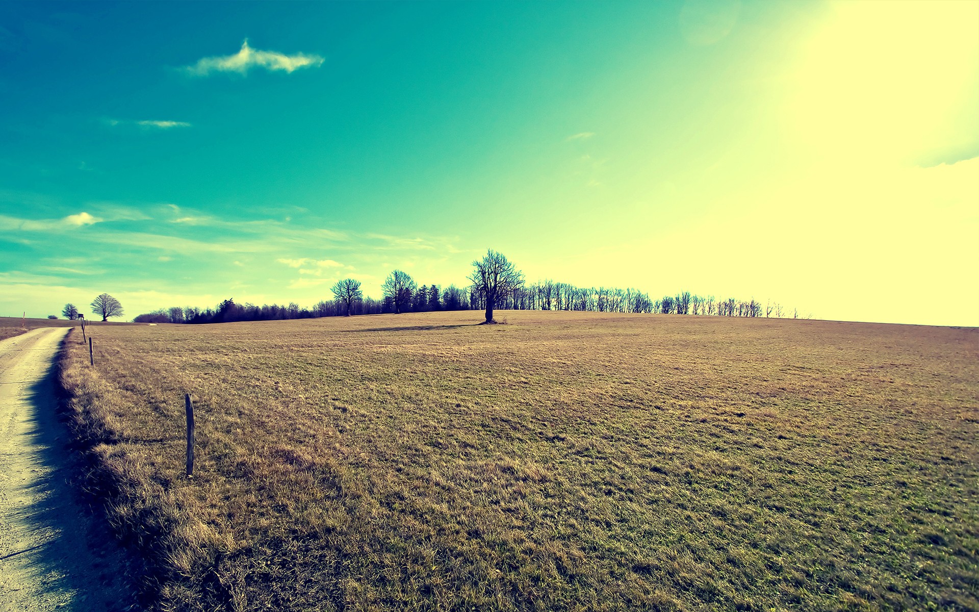 Open field with dirt road