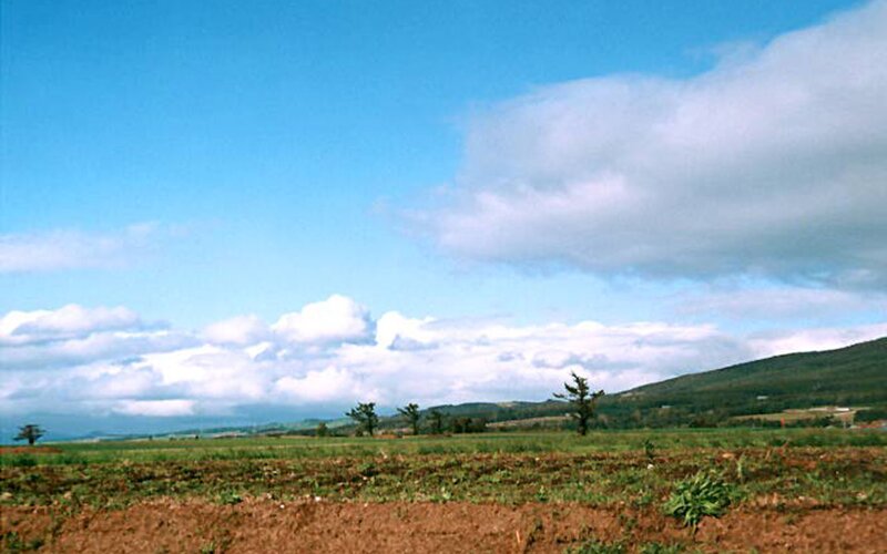 Open Field with Hills
