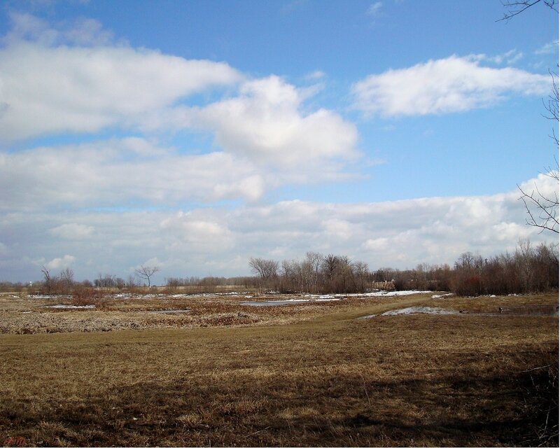 open field with scattered snow