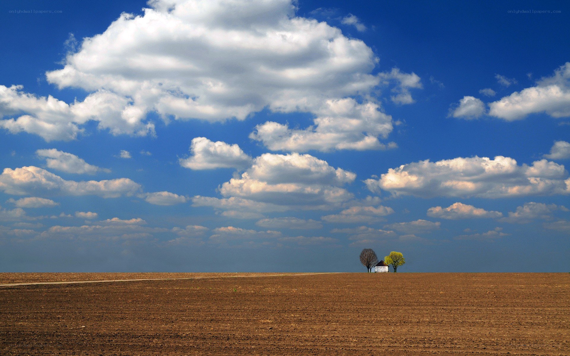 Open field with small house and trees