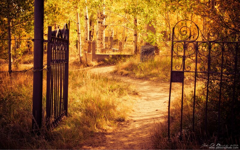Open Gate in Cemetery