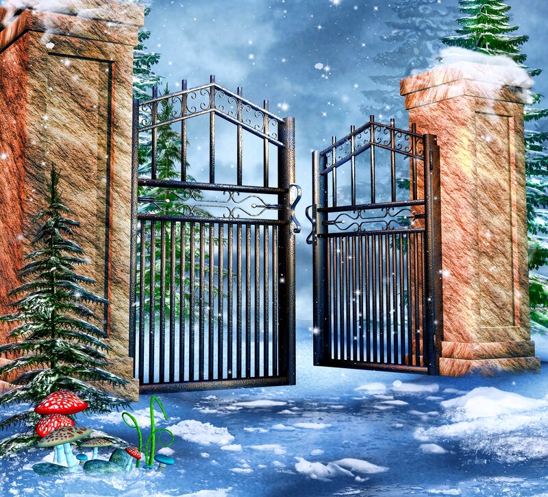 Open Gate in Winter — Blue