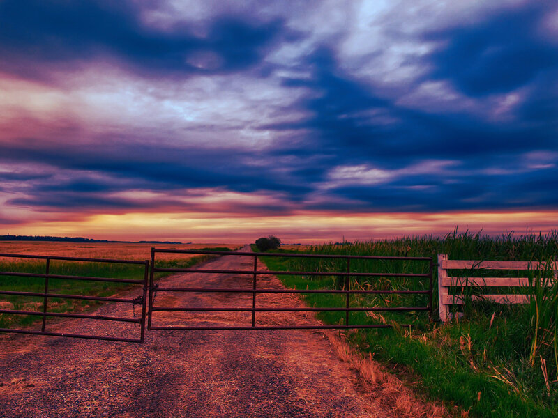 Open Gate on Dirt Road