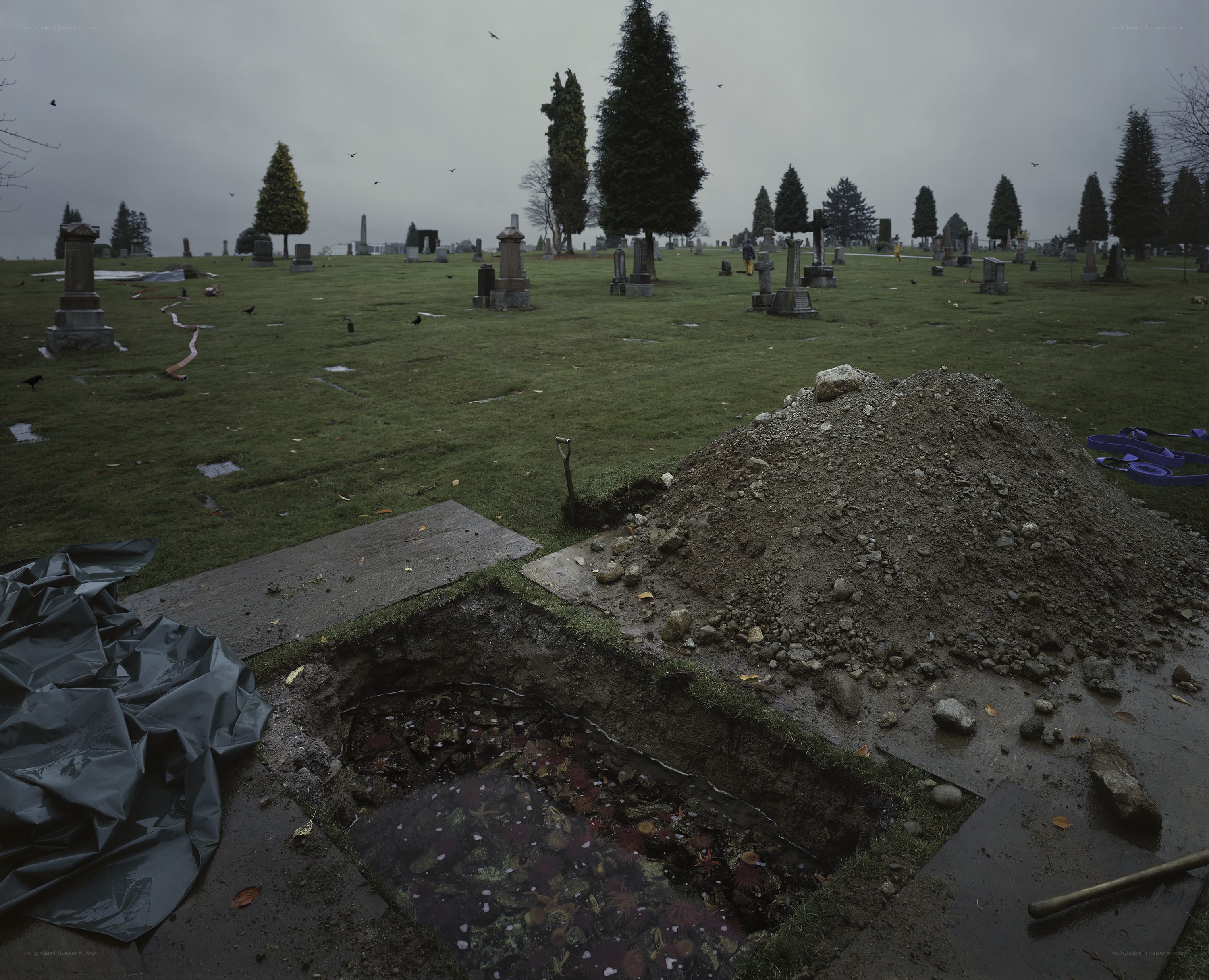 Open grave in a cemetery