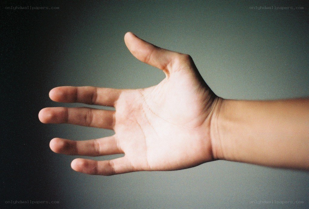 open hand on gray background