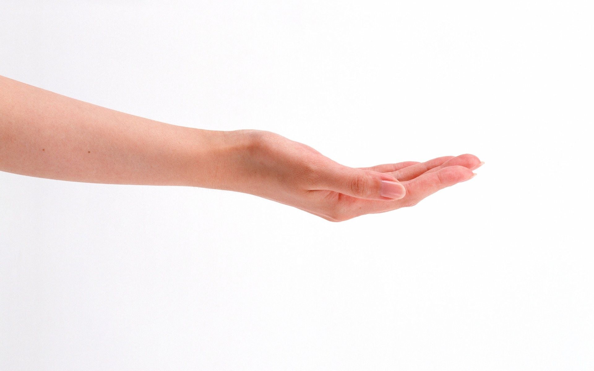 open hand on white background