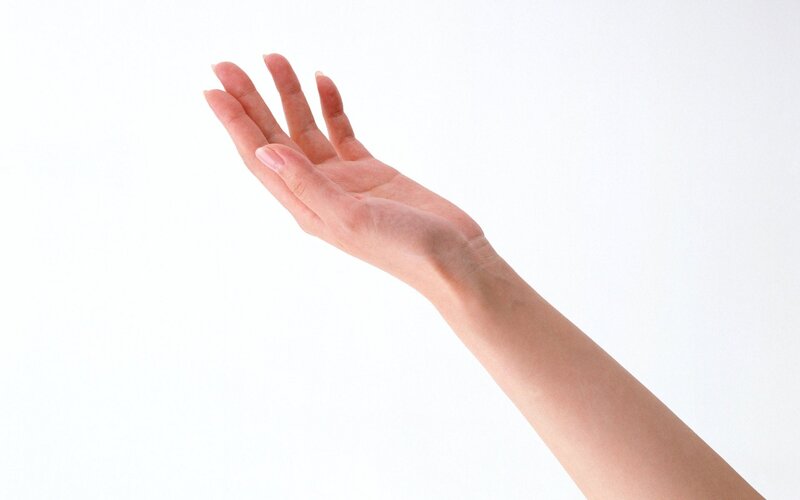 open hand on white background