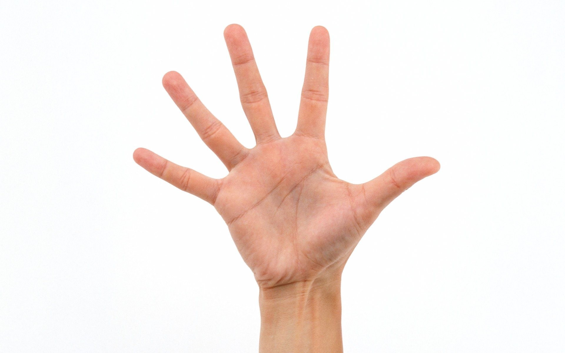 open hand with five fingers