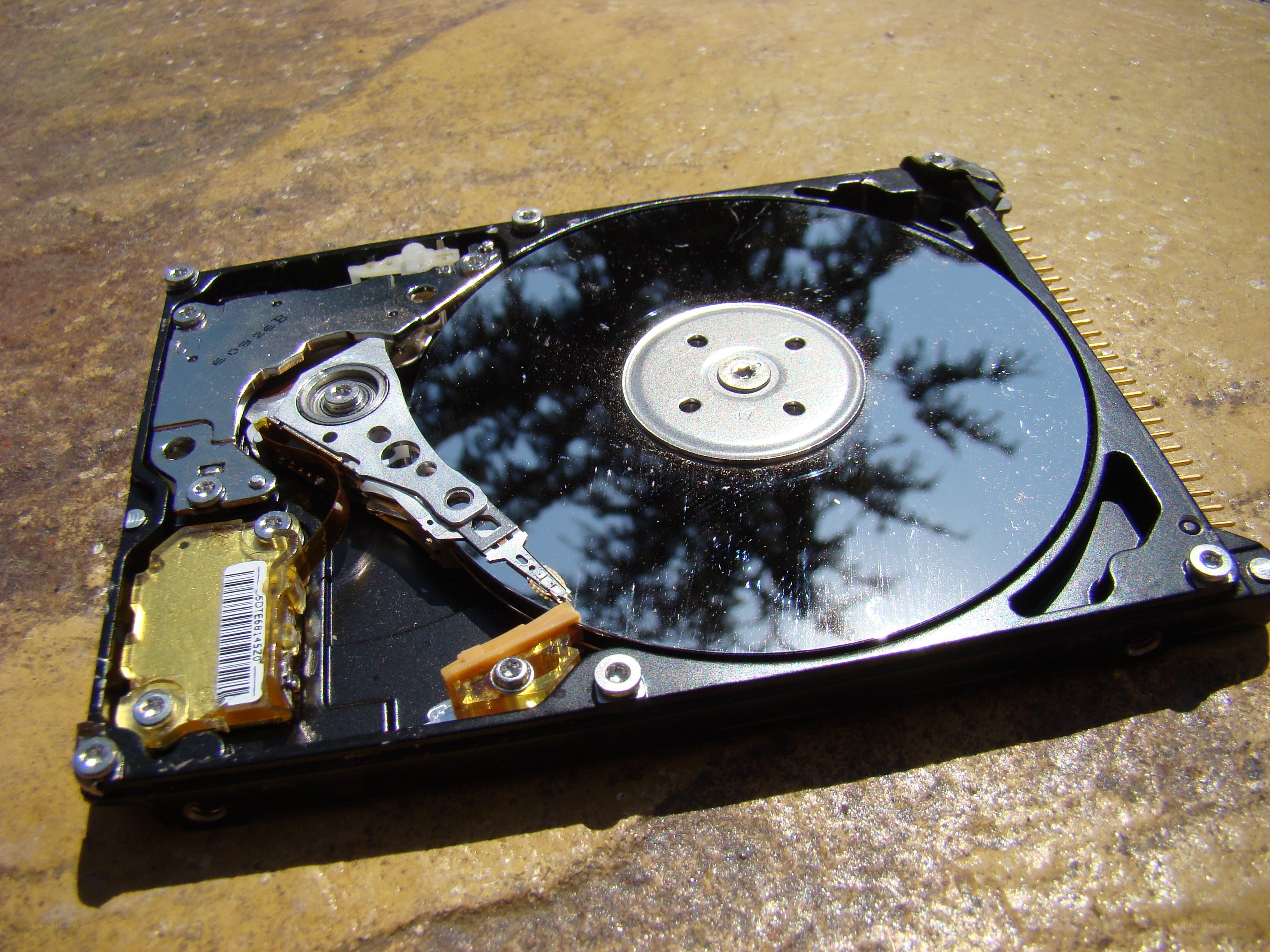 Open hard drive on stone surface