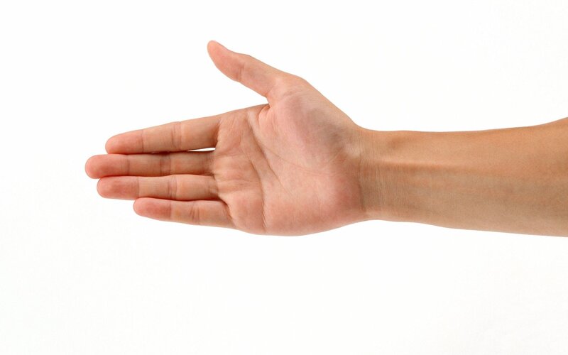 Open Human Hand — White