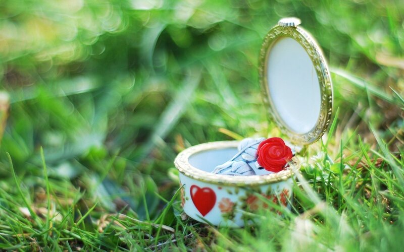 Open Jewelry Box in Grass
