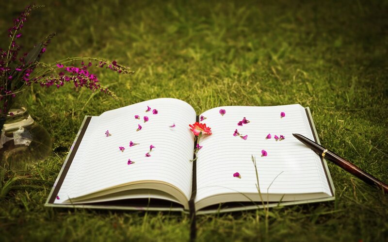 Open Notebook on Grass